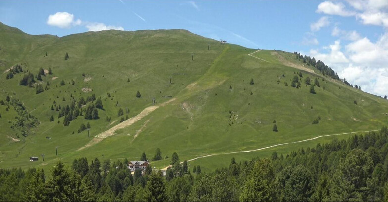 Webcam Белламонте-Альпе-Лусиа  - Pista direttissima Le Cune