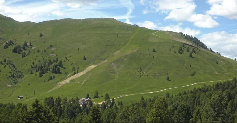 Webcam Bellamonte-Alpe Lusia - Pista direttissima Le Cune