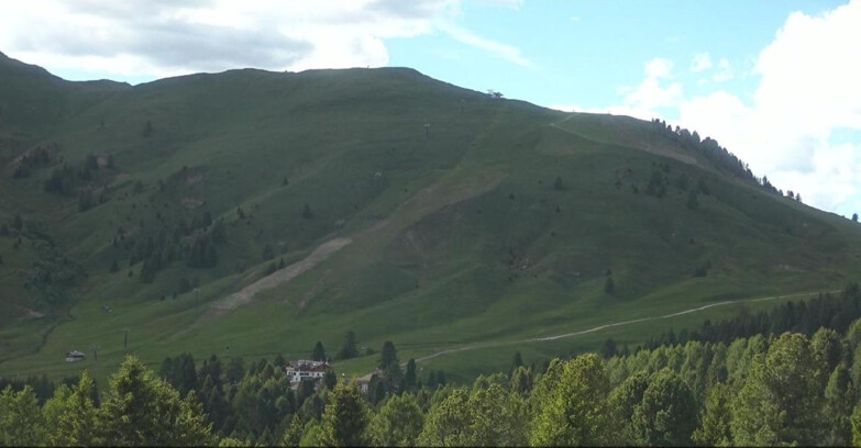 Webcam Bellamonte-Alpe Lusia - Pista direttissima Le Cune