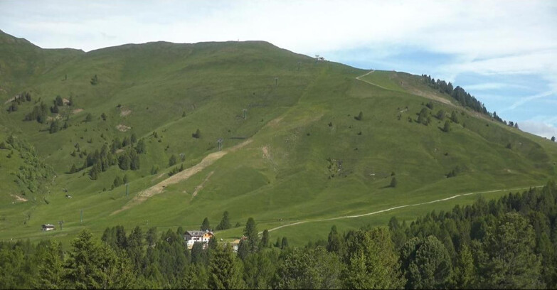 Webcam Bellamonte-Alpe Lusia - Pista direttissima Le Cune
