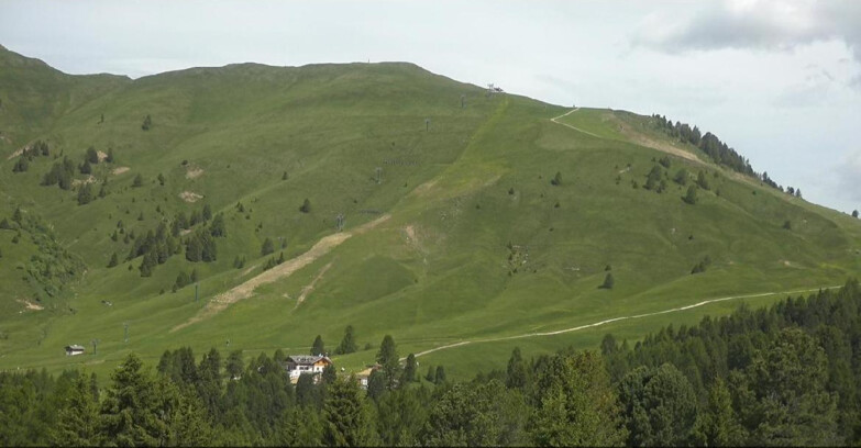 Webcam Bellamonte-Alpe Lusia - Pista direttissima Le Cune