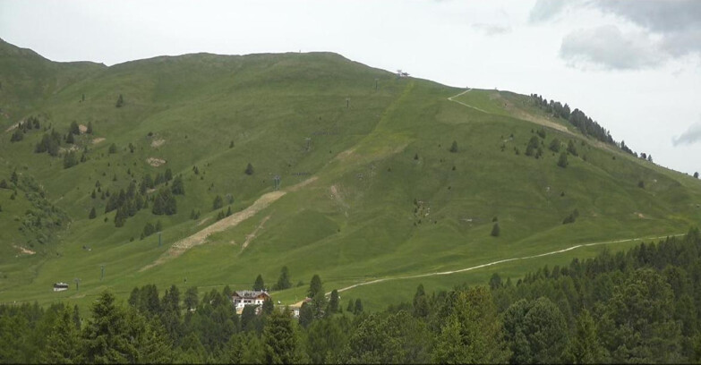 Webcam Bellamonte-Alpe Lusia - Pista direttissima Le Cune