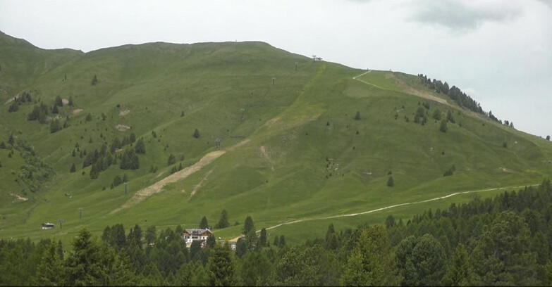 Webcam Bellamonte-Alpe Lusia - Pista direttissima Le Cune
