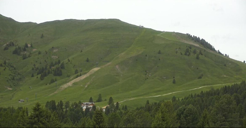 Webcam Bellamonte-Alpe Lusia - Pista direttissima Le Cune