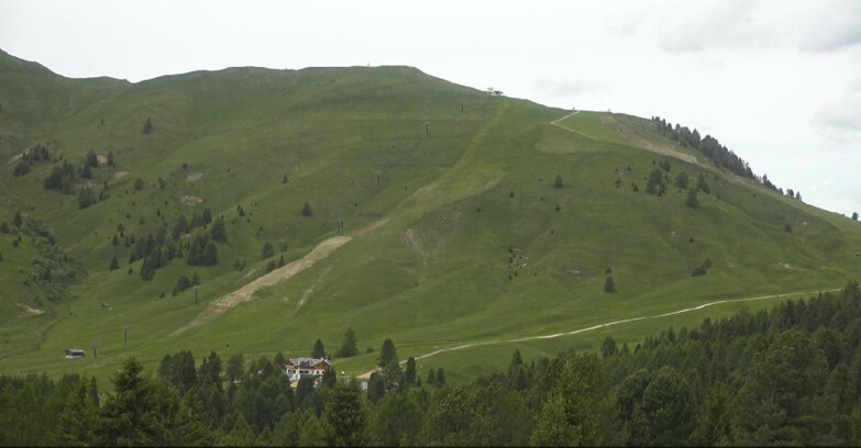 Webcam Bellamonte-Alpe Lusia - Pista direttissima Le Cune