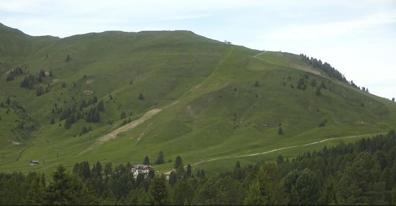 Webcam Bellamonte-Alpe Lusia - Pista direttissima Le Cune