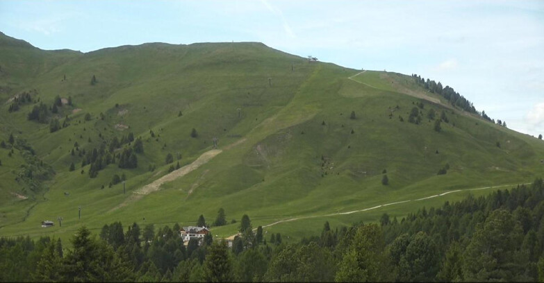 Webcam Bellamonte-Alpe Lusia - Pista direttissima Le Cune