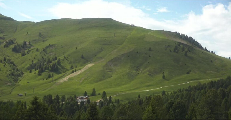 Webcam Bellamonte-Alpe Lusia - Pista direttissima Le Cune