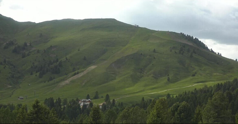 Webcam Bellamonte-Alpe Lusia - Pista direttissima Le Cune