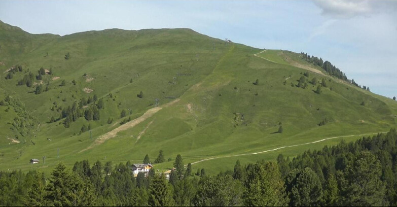 Webcam Bellamonte-Alpe Lusia - Pista direttissima Le Cune