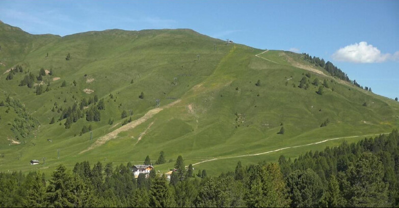 Webcam Bellamonte-Alpe Lusia  - Pista direttissima Le Cune