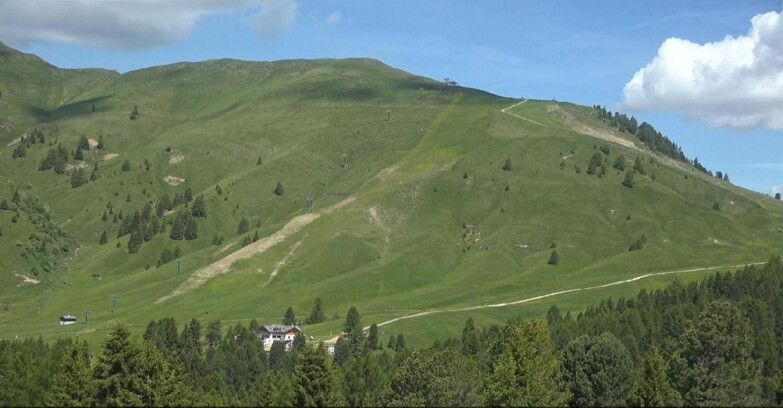 Webcam Bellamonte-Alpe Lusia  - Pista direttissima Le Cune