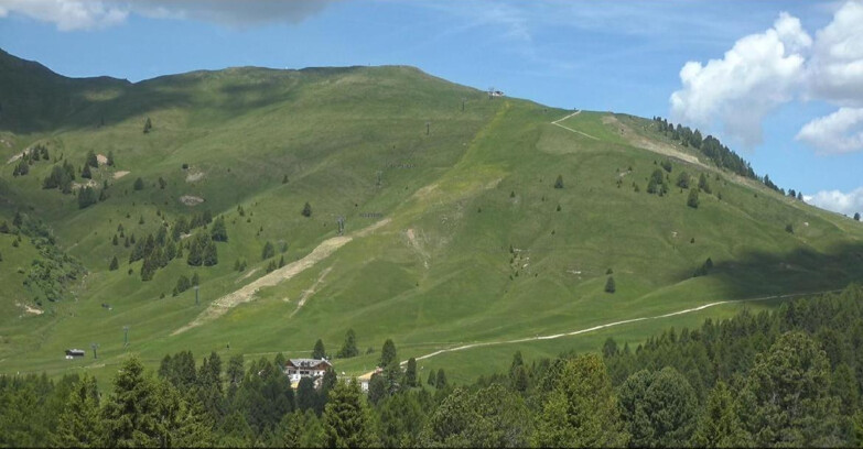 Webcam Bellamonte-Alpe Lusia  - Pista direttissima Le Cune