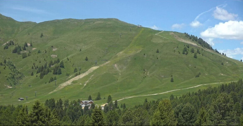 Webcam Bellamonte-Alpe Lusia  - Pista direttissima Le Cune