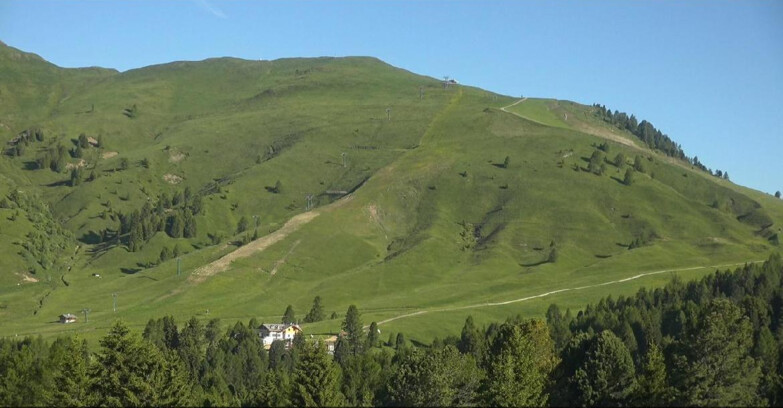Webcam Bellamonte-Alpe Lusia  - Pista direttissima Le Cune