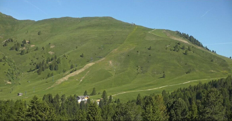 Webcam Bellamonte-Alpe Lusia  - Pista direttissima Le Cune