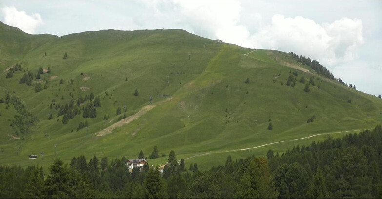 Webcam Bellamonte-Alpe Lusia  - Pista direttissima Le Cune