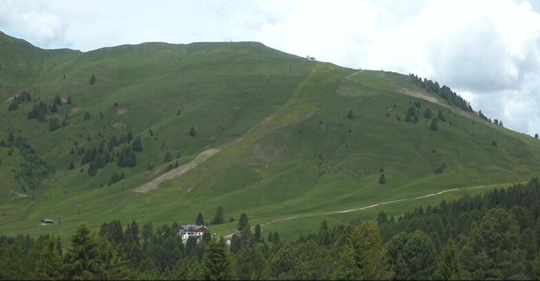 Webcam Bellamonte-Alpe Lusia  - Pista direttissima Le Cune