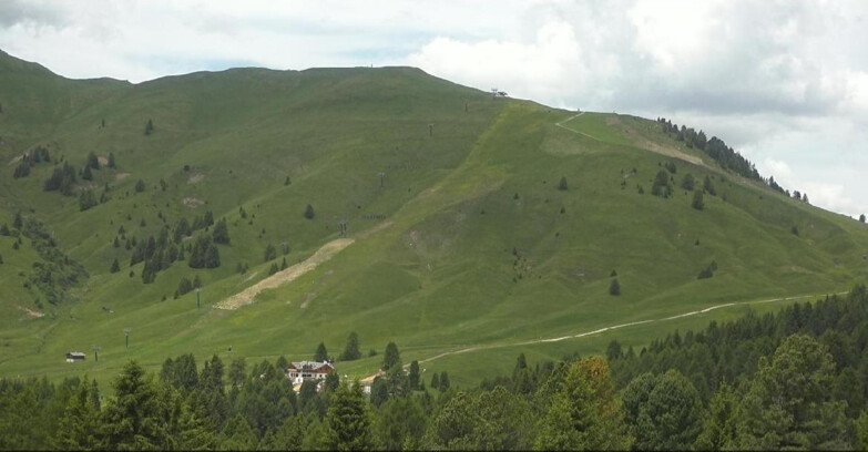 Webcam Bellamonte-Alpe Lusia  - Pista direttissima Le Cune