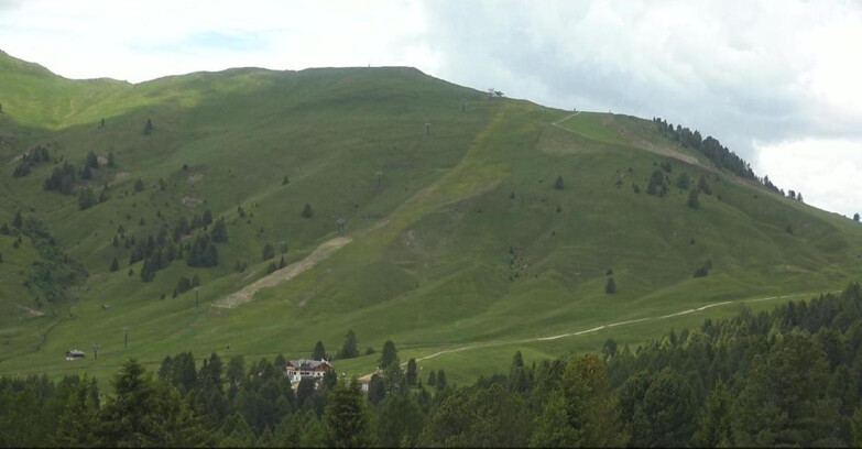 Webcam Bellamonte-Alpe Lusia  - Pista direttissima Le Cune