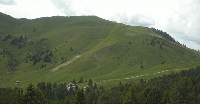 Webcam Bellamonte-Alpe Lusia  - Pista direttissima Le Cune