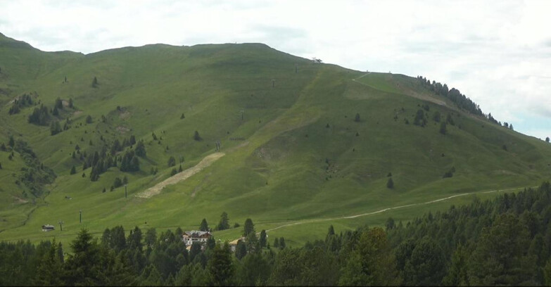 Webcam Bellamonte-Alpe Lusia  - Pista direttissima Le Cune