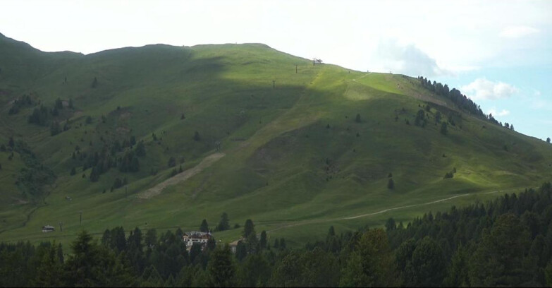Webcam Bellamonte-Alpe Lusia  - Pista direttissima Le Cune