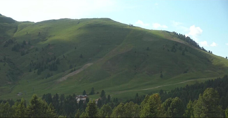 Webcam Bellamonte-Alpe Lusia  - Pista direttissima Le Cune