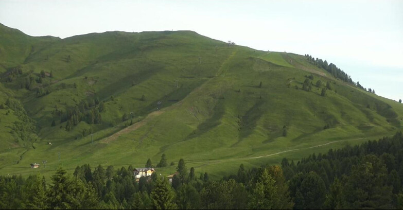 Webcam Bellamonte-Alpe Lusia  - Pista direttissima Le Cune