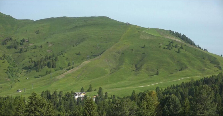 Webcam Bellamonte-Alpe Lusia  - Pista direttissima Le Cune