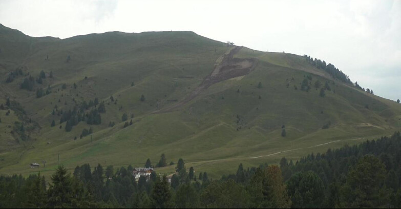 Webcam Белламонте-Альпе-Лусиа  - Pista direttissima Le Cune