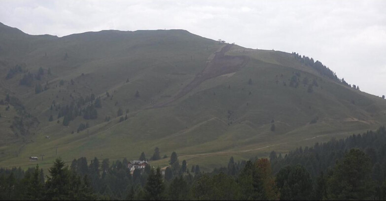 Webcam Bellamonte-Alpe Lusia  - Pista direttissima Le Cune