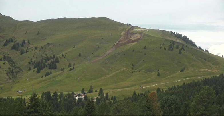 Webcam Bellamonte-Alpe Lusia  - Pista direttissima Le Cune