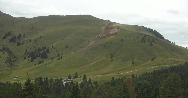 Webcam Bellamonte-Alpe Lusia  - Pista direttissima Le Cune
