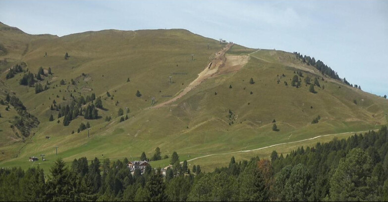 Webcam Bellamonte-Alpe Lusia - Pista direttissima Le Cune