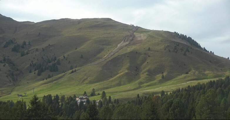 Webcam Bellamonte-Alpe Lusia - Pista direttissima Le Cune