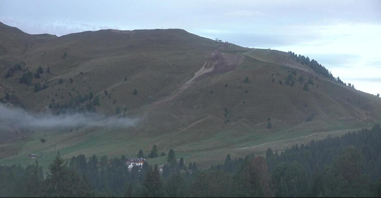 Webcam Bellamonte-Alpe Lusia - Pista direttissima Le Cune