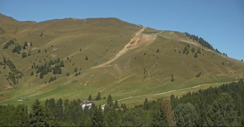 Webcam Bellamonte-Alpe Lusia - Pista direttissima Le Cune