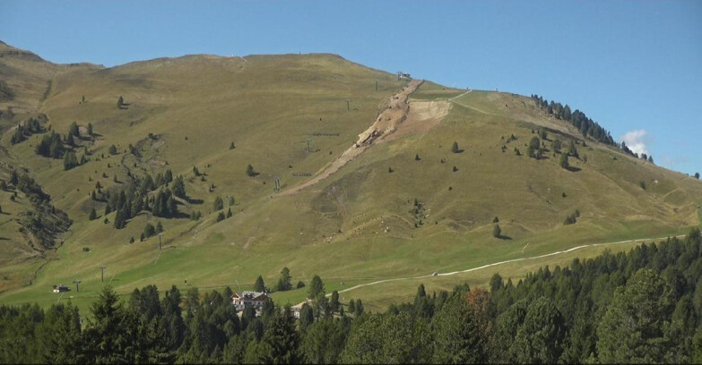 Webcam Bellamonte-Alpe Lusia - Pista direttissima Le Cune