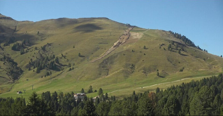 Webcam Bellamonte-Alpe Lusia - Pista direttissima Le Cune