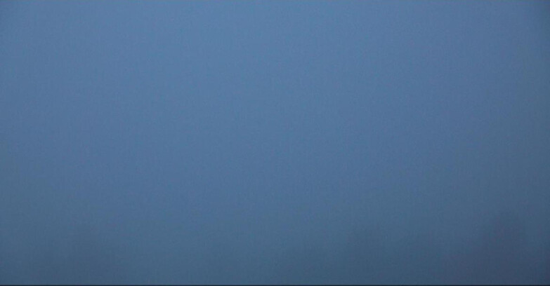 Webcam Bellamonte-Alpe Lusia - Pista direttissima Le Cune