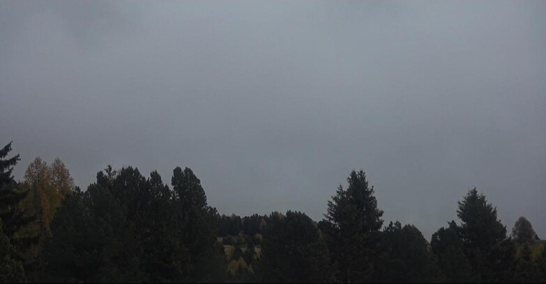 Webcam Bellamonte-Alpe Lusia  - Palagruppe