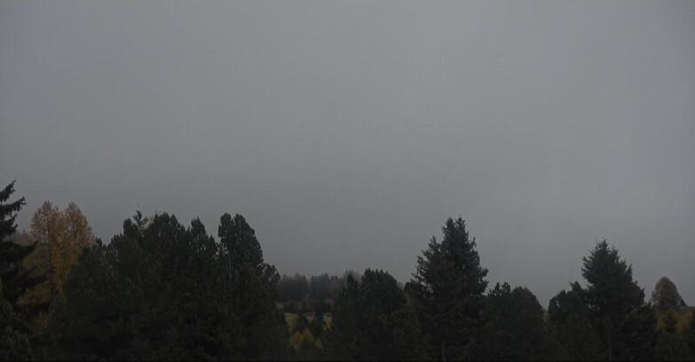 Webcam Bellamonte-Alpe Lusia  - Palagruppe