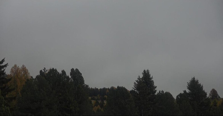 Webcam Bellamonte-Alpe Lusia  - Palagruppe