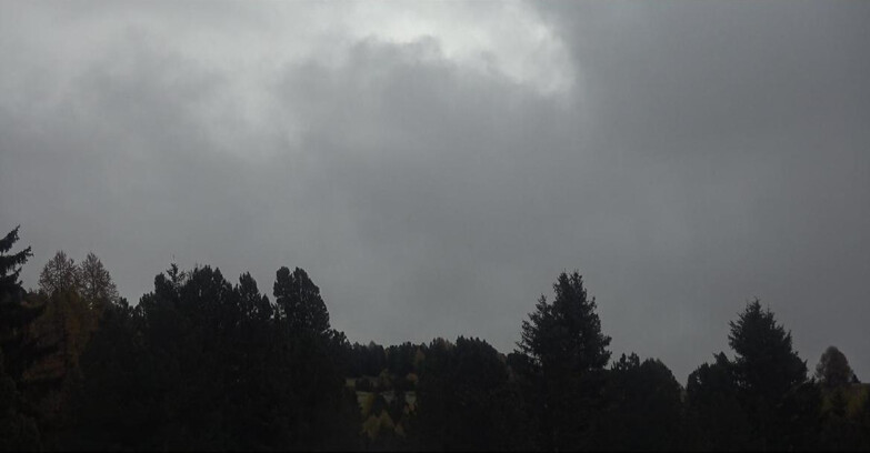 Webcam Bellamonte-Alpe Lusia  - Palagruppe