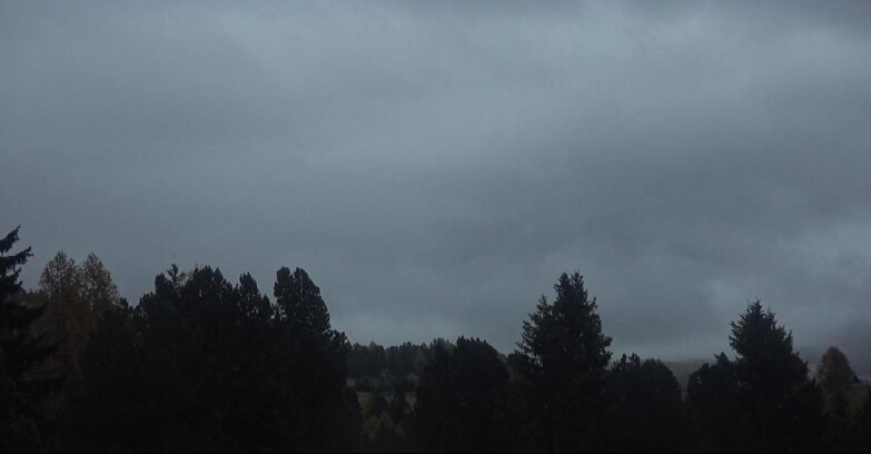 Webcam Bellamonte-Alpe Lusia  - Palagruppe