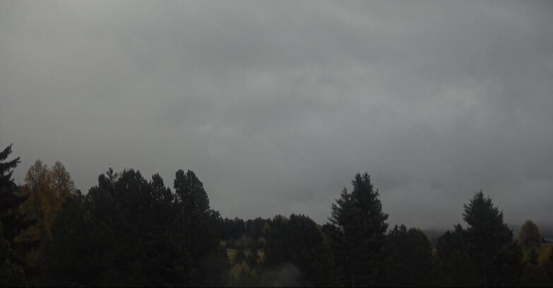 Webcam Bellamonte-Alpe Lusia  - Palagruppe