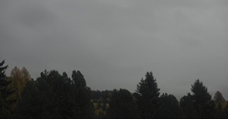 Webcam Bellamonte-Alpe Lusia  - Palagruppe