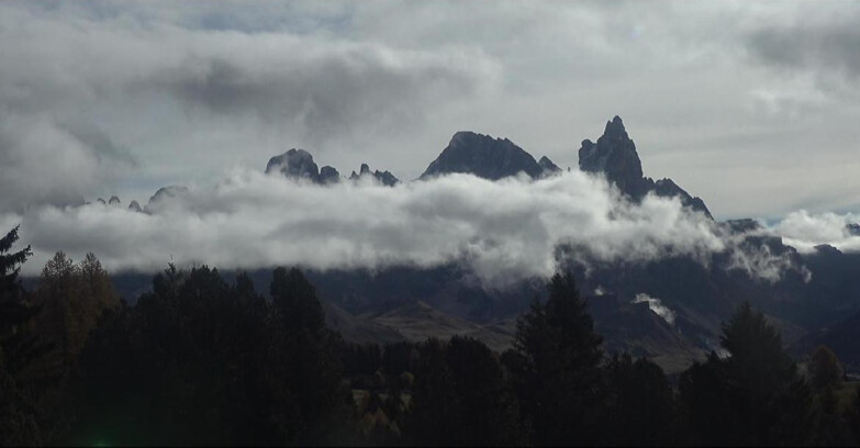 Webcam Bellamonte-Alpe Lusia - Pale di San Martino