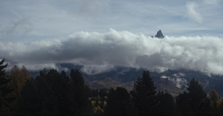 Webcam Bellamonte-Alpe Lusia - Pale di San Martino